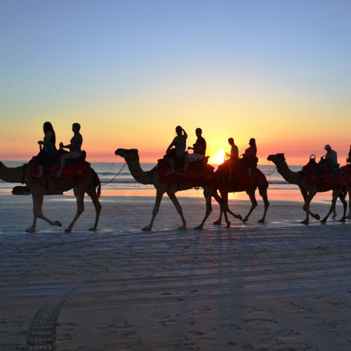 Liezy Down Under: Coral Bay and Broome (11/06/2011 – 26/06/2011)
