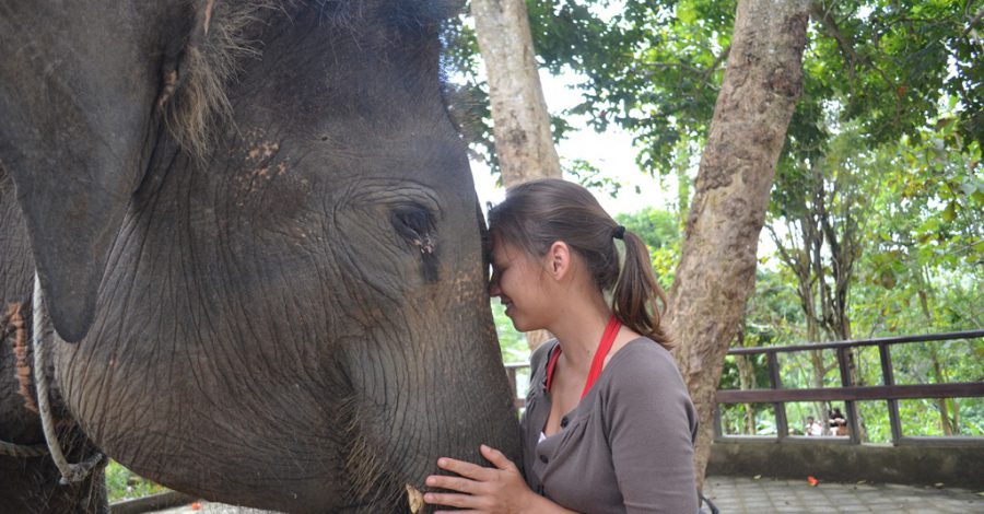 Greeting a beautiful elephant on Bali