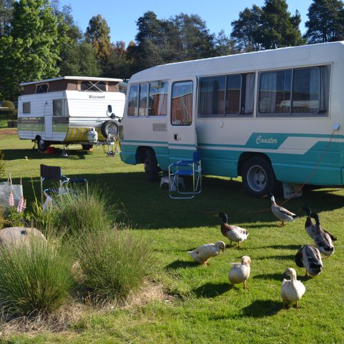 Liezy Down Under: A new job in Tasmania (11/11/2011 – 30/11/2011)