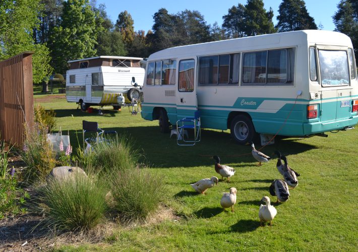 Ik vond een job in het Tarraleah Estate and Cottages op Tasmanië.